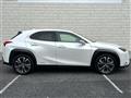 2019 Lexus UX