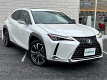 2019 Lexus UX