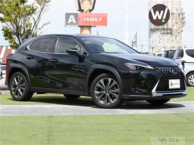 2021 Lexus UX