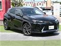 2021 Lexus UX