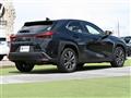 2021 Lexus UX