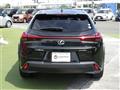2021 Lexus UX