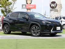 2021 Lexus UX