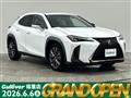 2019 Lexus UX