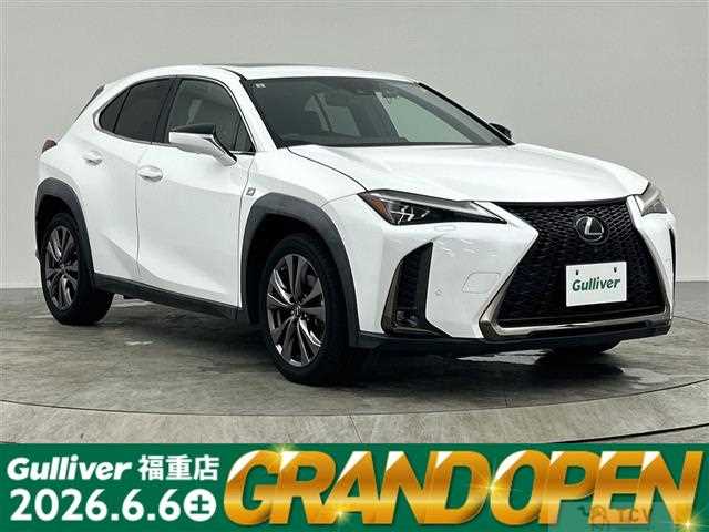 2019 Lexus UX