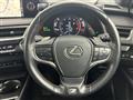 2019 Lexus UX