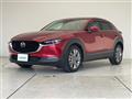 2023 Mazda CX-3