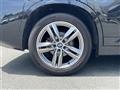 2019 BMW X1