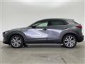 2021 Mazda CX-3