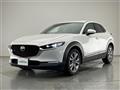 2020 Mazda CX-3