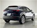 2022 Mazda CX-3
