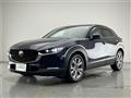 2022 Mazda CX-3