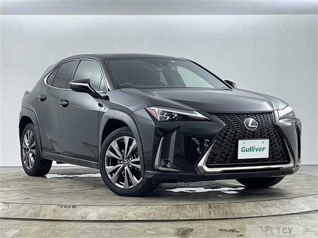 2019 Lexus UX