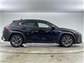 2019 Lexus UX