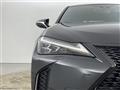 2019 Lexus UX