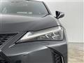 2019 Lexus UX