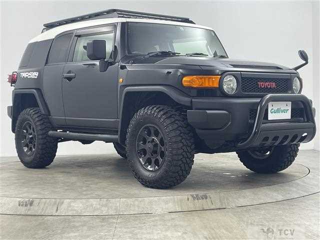 2011 Toyota FJ Cruiser