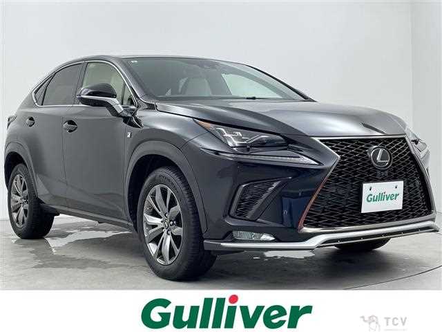 2019 Lexus NX