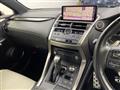 2019 Lexus NX