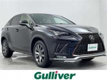 2019 Lexus NX
