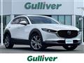 2021 Mazda CX-3