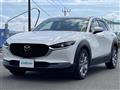 2021 Mazda CX-3