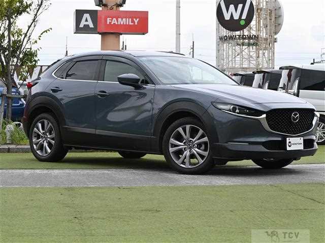 2021 Mazda CX-3