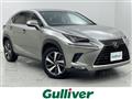 2018 Lexus NX