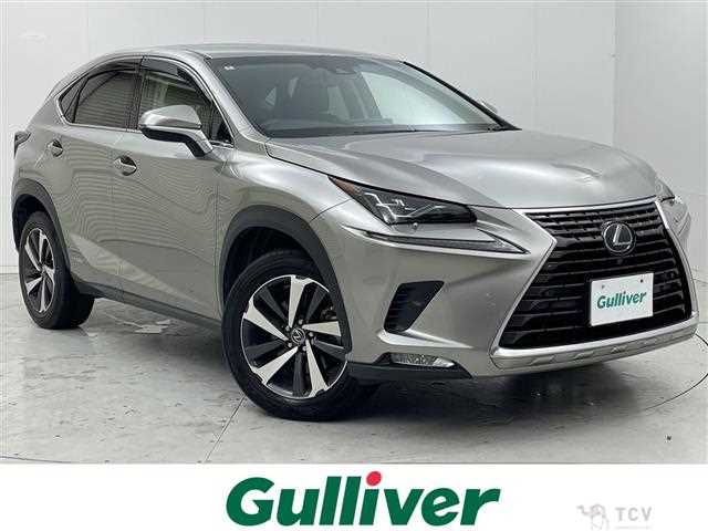 2018 Lexus NX