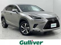 2018 Lexus NX