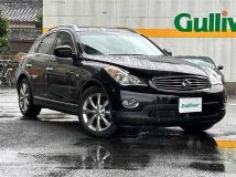 2010 Nissan SKYLINE CROSSOVER