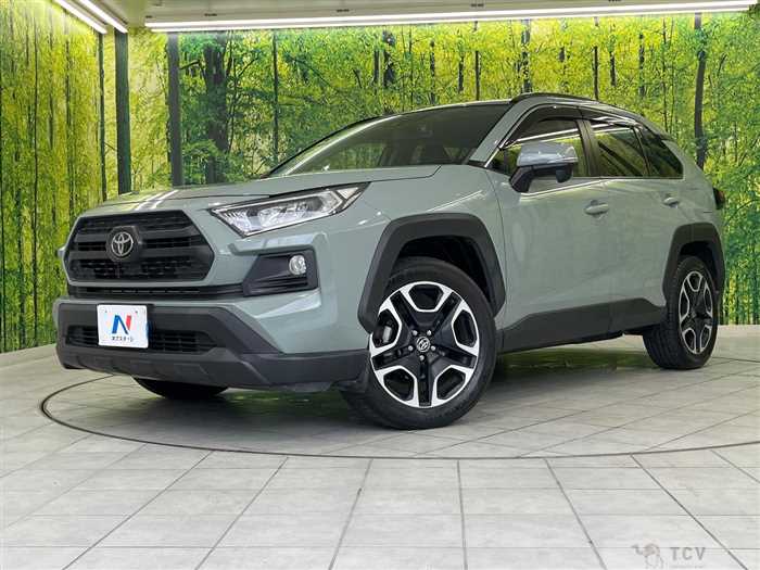 2019 Toyota RAV4