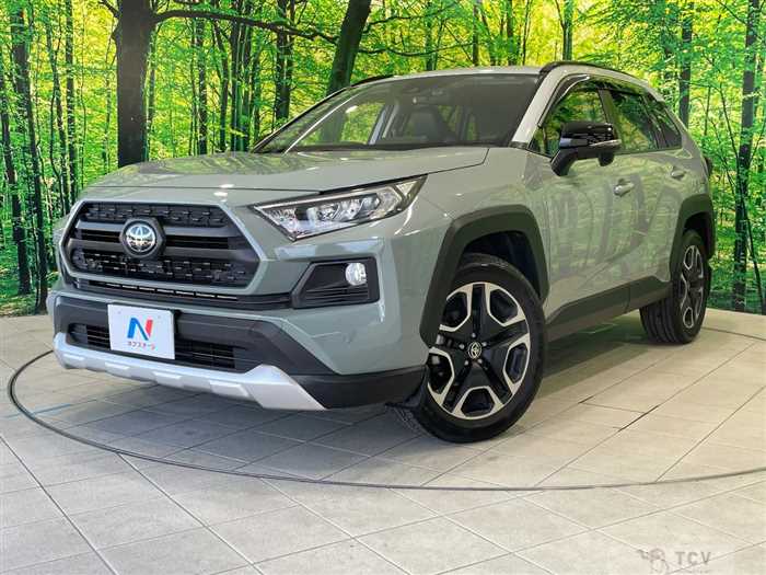 2019 Toyota RAV4