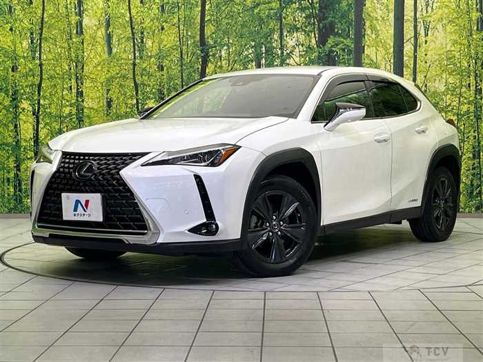 2020 Lexus Other