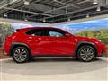 2021 Lexus Other