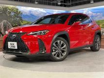 2021 Lexus Other