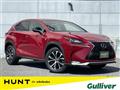 2015 Lexus NX