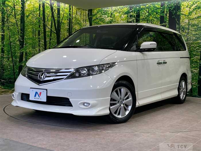2010 Honda Elysion