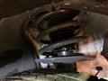2024 Honda Honda Others