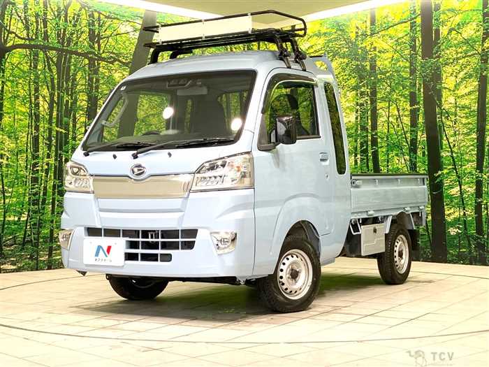 2021 Daihatsu Hijet Truck