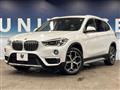 2019 BMW X1