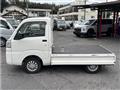 2018 Daihatsu Hijet Truck