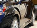 2009 Lexus HS HYBRID