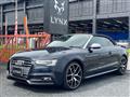 2014 Audi S5