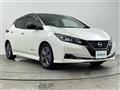 2021 Nissan Leaf