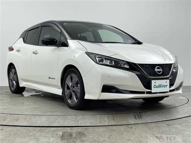 2021 Nissan Leaf