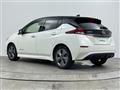 2021 Nissan Leaf