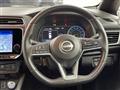 2021 Nissan Leaf