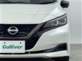 2021 Nissan Leaf