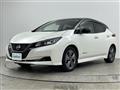 2021 Nissan Leaf